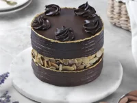 Heavenly Luxe Chocolate Cream Cake – Eggless, Soft & Moist