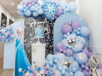 1st Birthday Boy Frozen Theme Decoration with Shimmer Backdrop